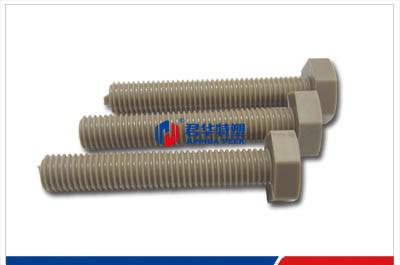 M12乘70外六角PEEK螺丝