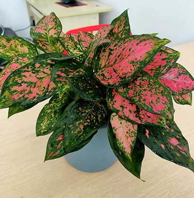 1551590633488379.jpg 1551590633488379.jpg