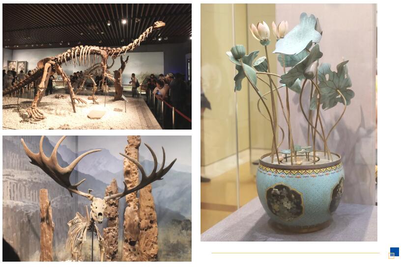 君华股份南京博物馆/牛首山一日游