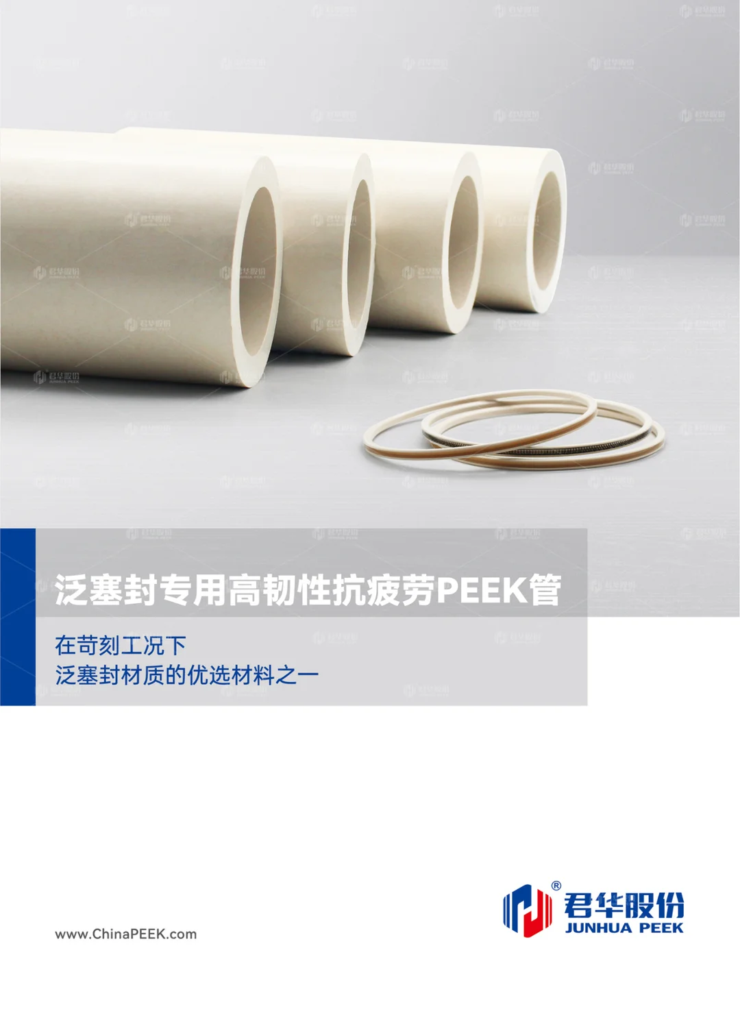 泛塞封专用PEEK管