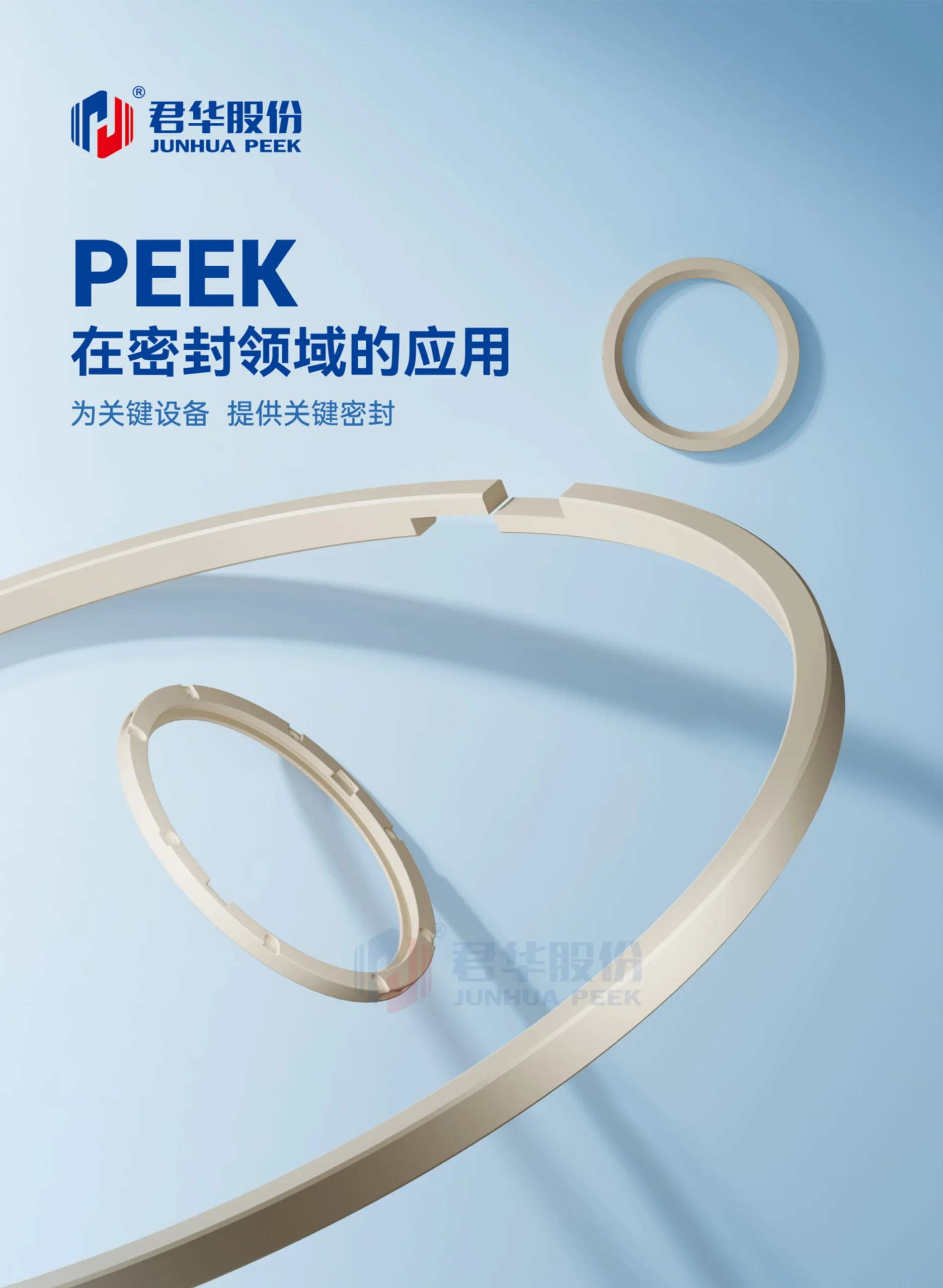 PEEK在密封领域的应用